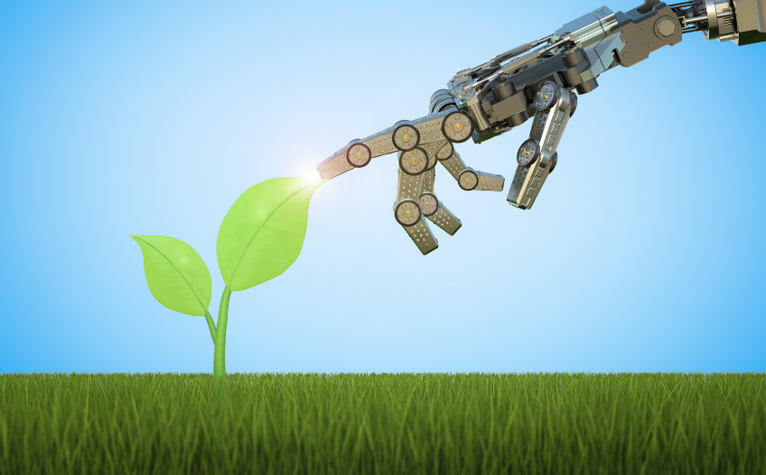 Robot hand touching growing plant