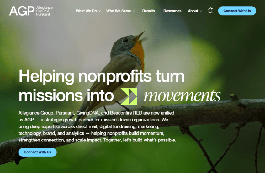 Fundraising consultant agp